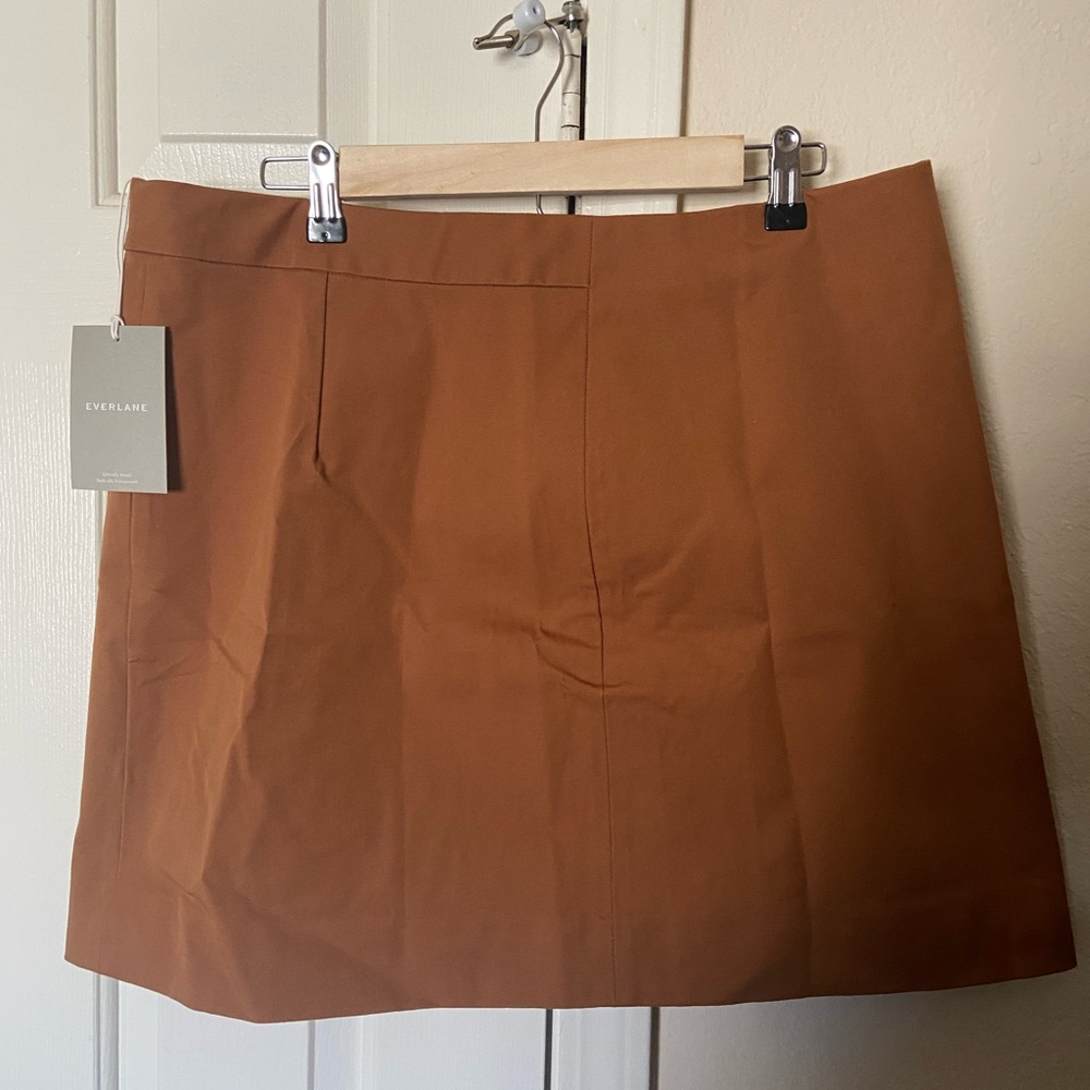 Everlane Skirt
